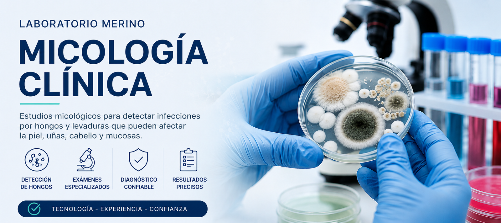Micología