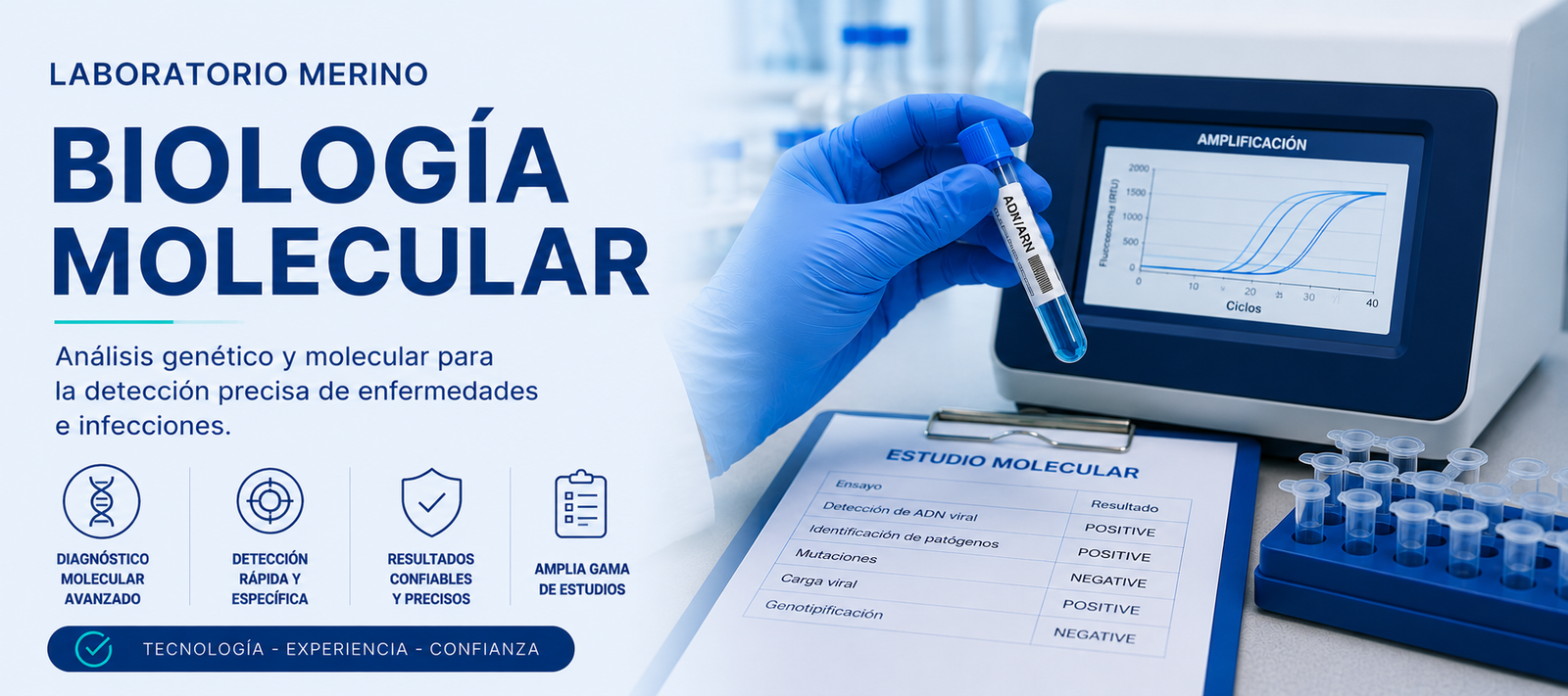 Biología Molecular